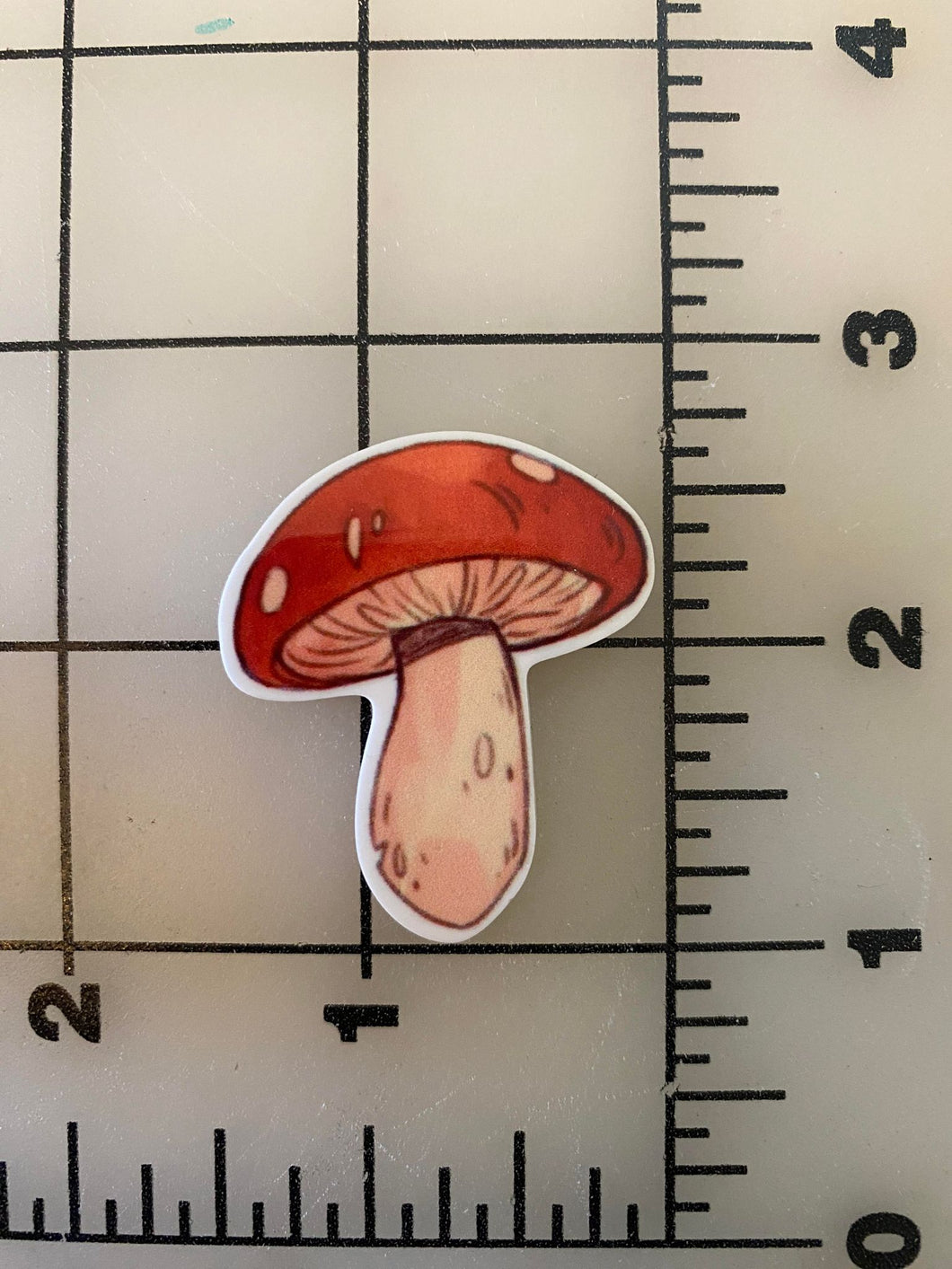 Cottage Core Cute Mushroom Flat back Printed Resin