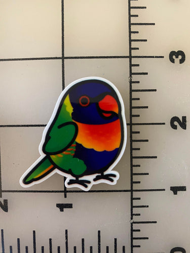 Rainbow Lorikeets Exotic Bird, Birbs Flat Back Printed Resin