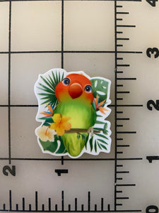 Mango Lovebird Exotic Bird, Birbs Flat Back Printed Resin